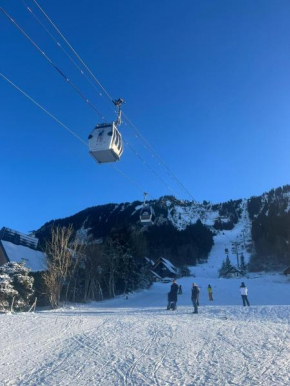Studio cosy au pied des pistes